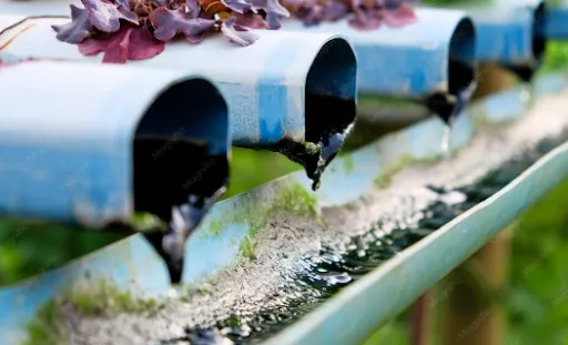 Clean Drains, Gutters, and Drainage Systems