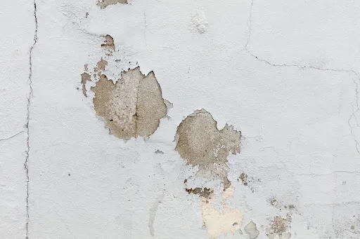 Check for Leaks and Wall Cracks