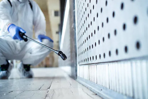 Take Preventive Pest Control Measures