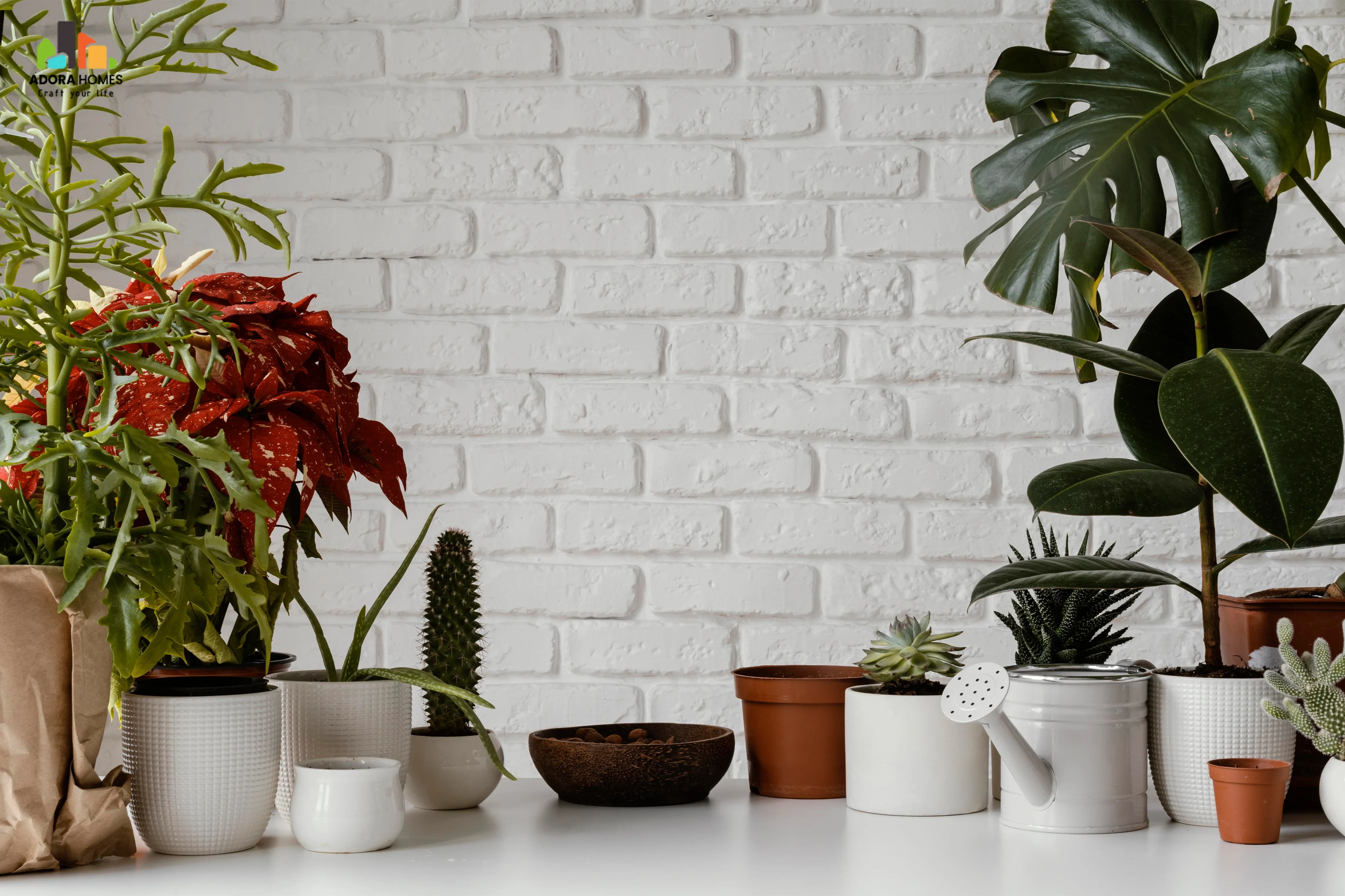 10 Trendy Indoor Plant Decoration Ideas for Your Apartment